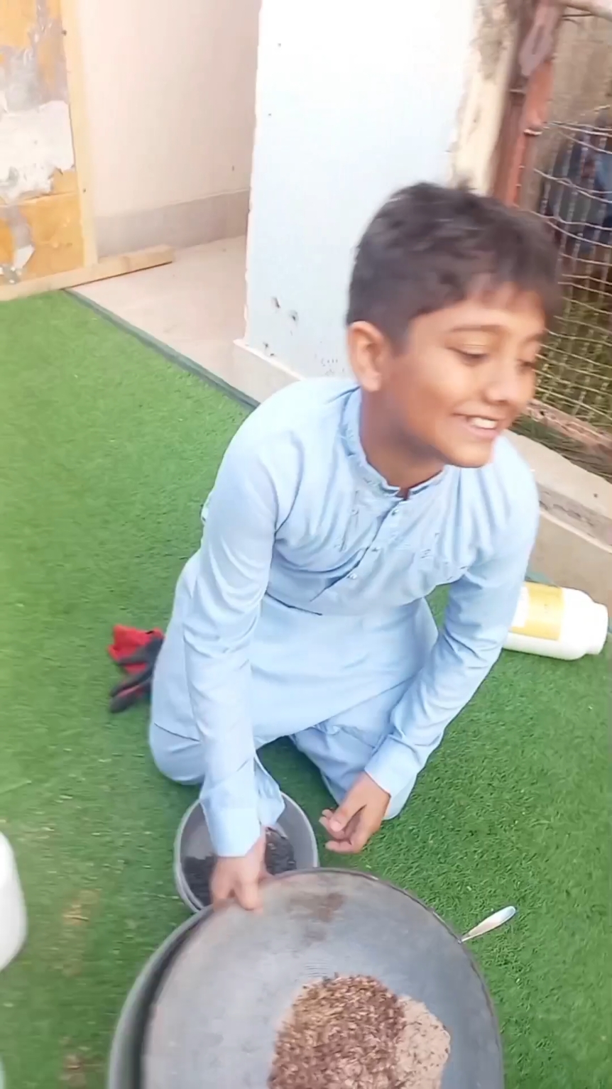 @Mustafa Goats
