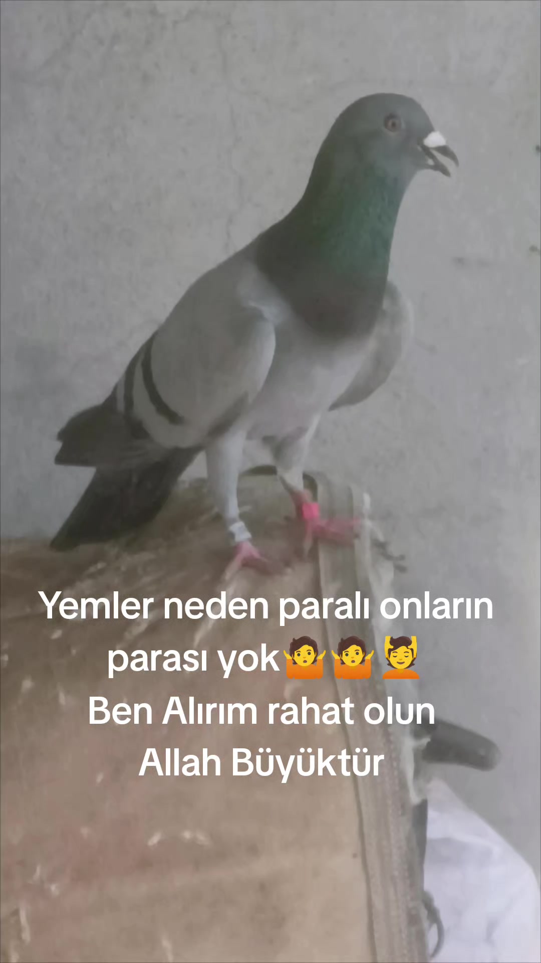 @YARIŞ POSTASI