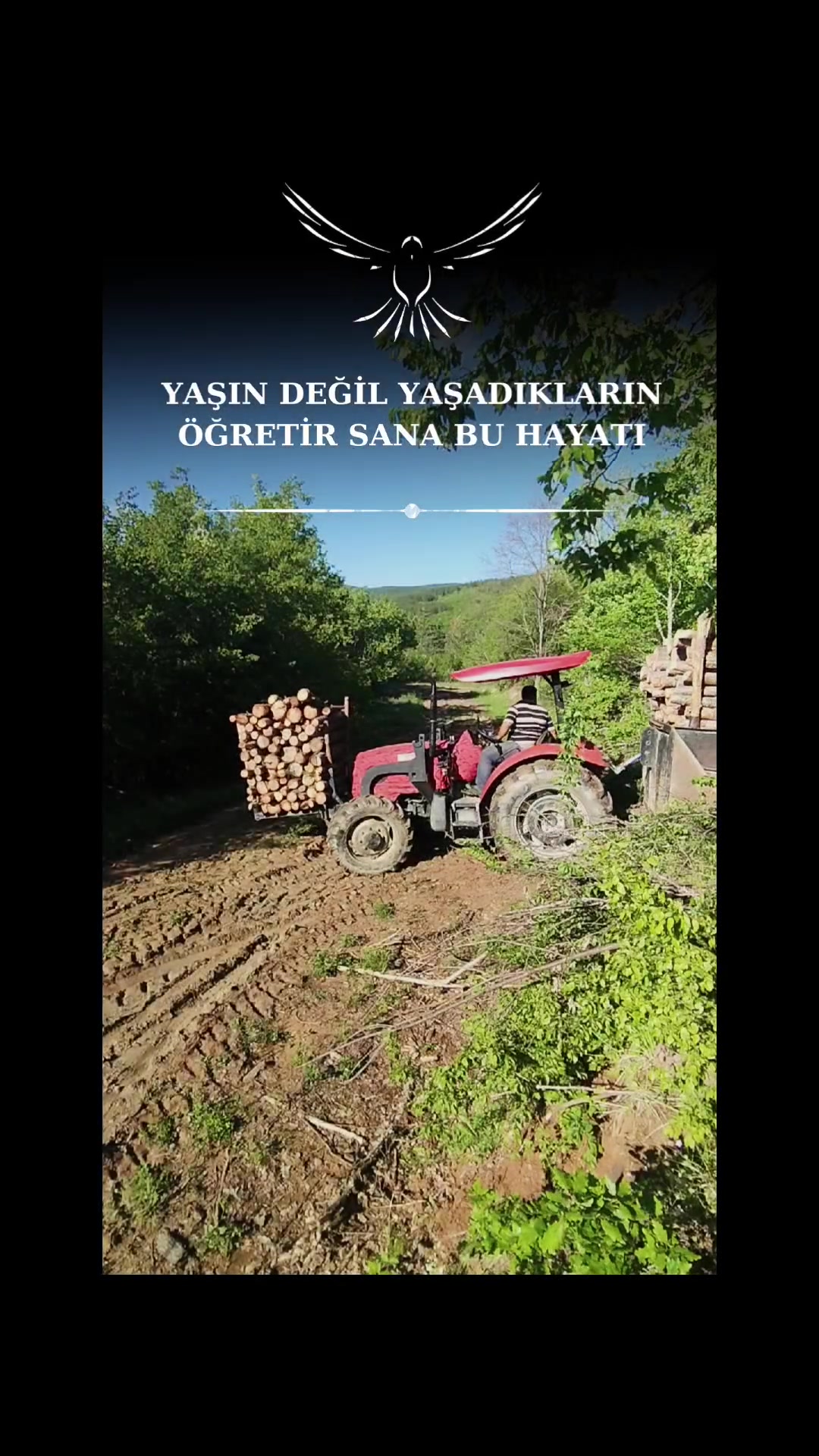 @ERKAN AKGÜN