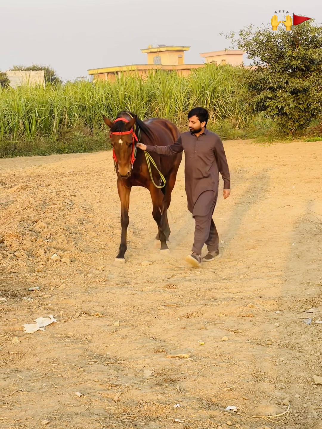 @Arslan Gujjar