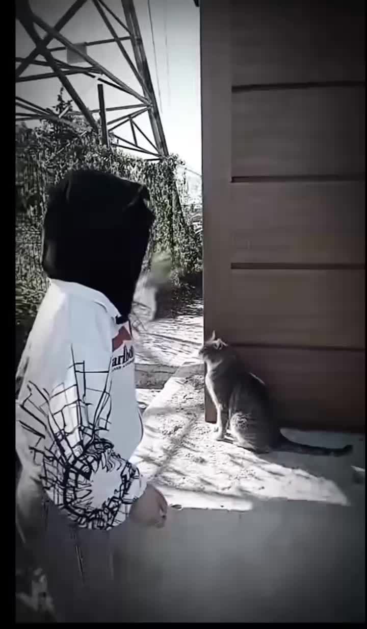 @ادلبـᬼ👑⃟ᬼــية✨🐆