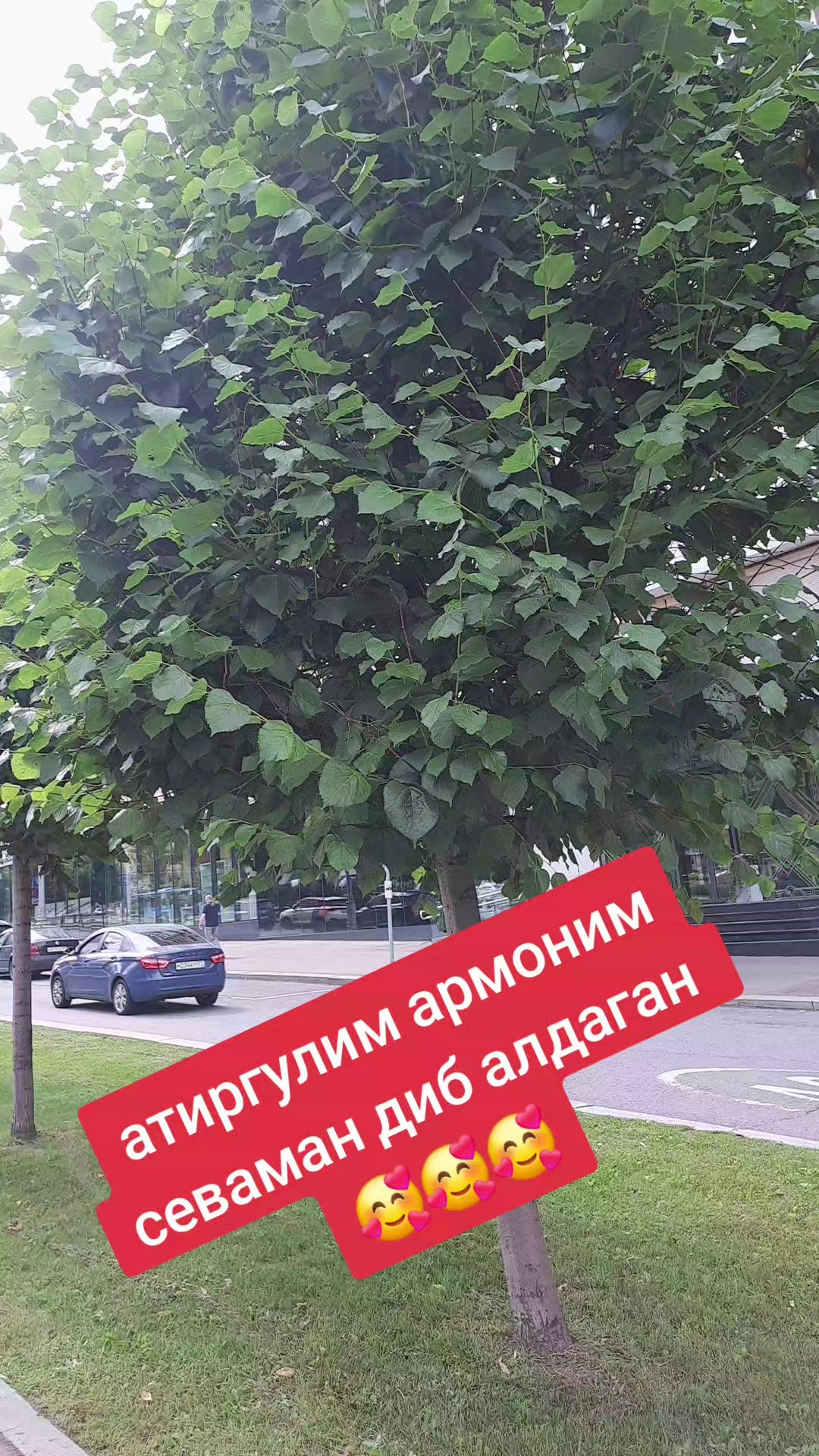 @Yagonam381