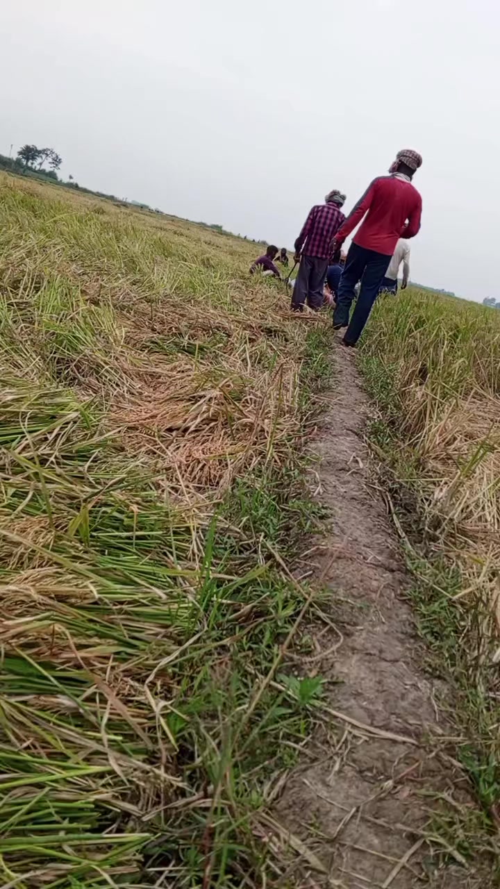 @MD Akram Hasan