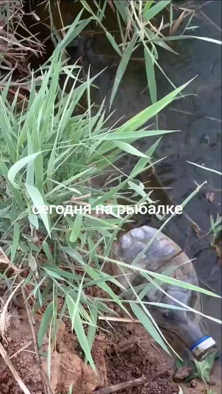 @GravityDefier _TikTok
