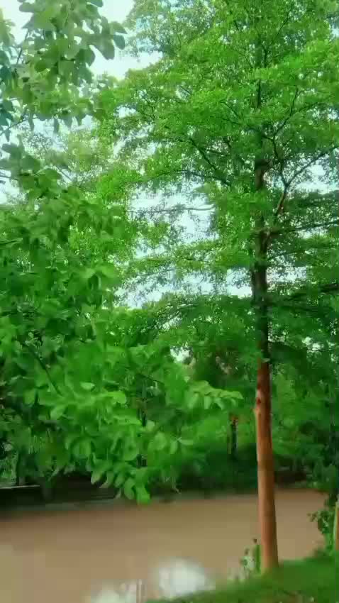 @Rai Wahad