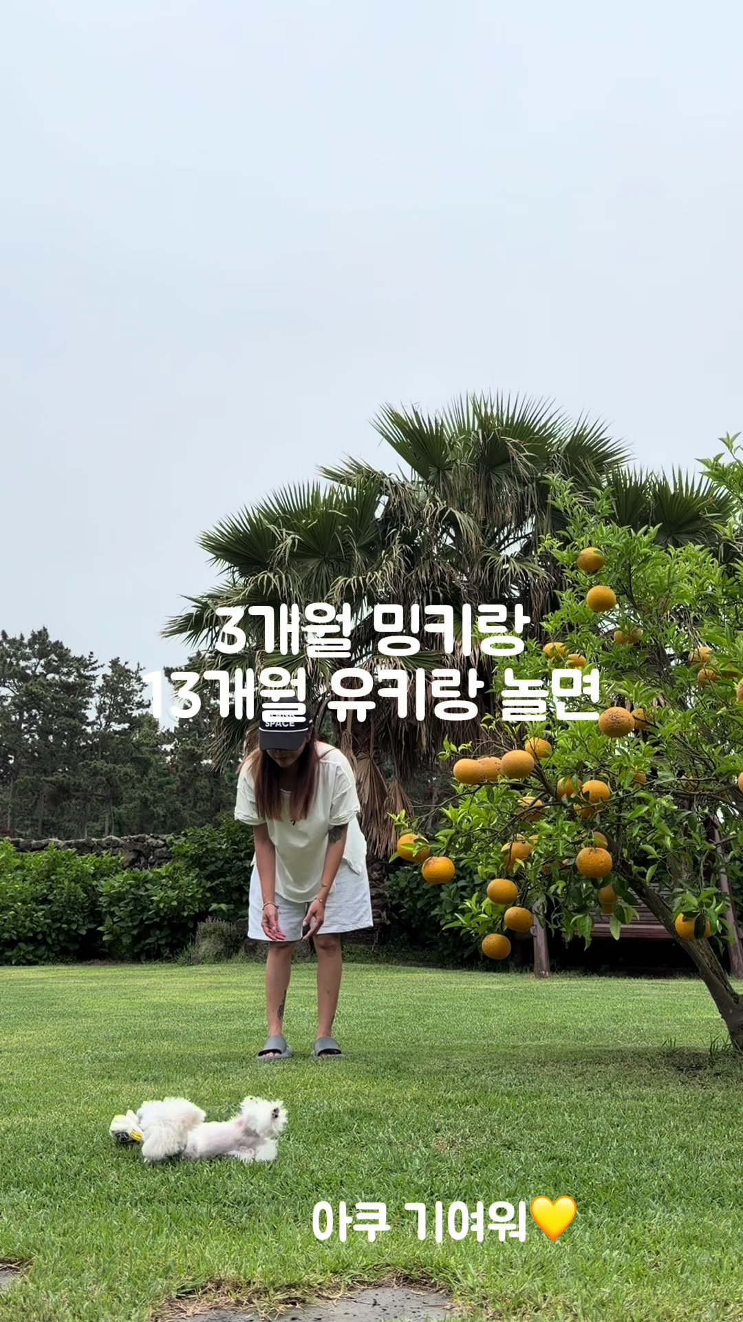 @jeju_kiki