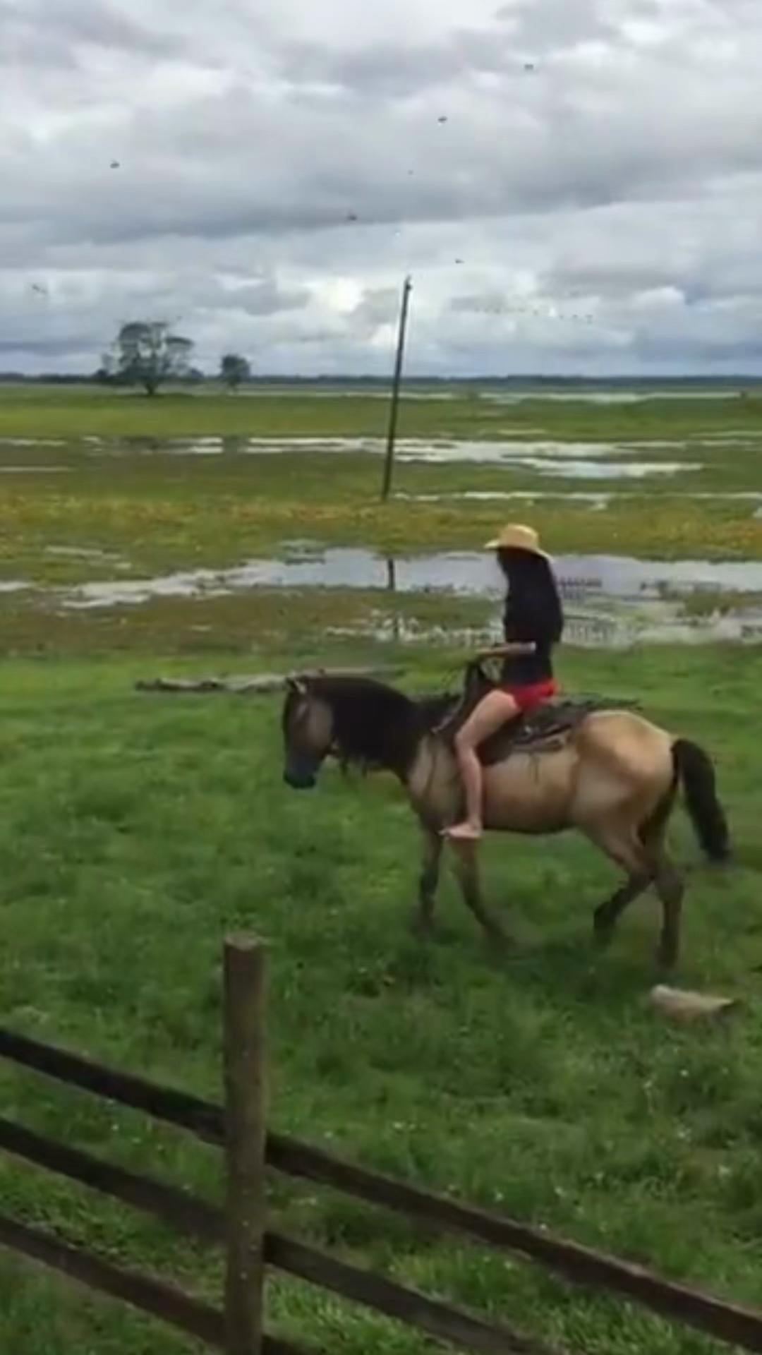 @laisvhi
