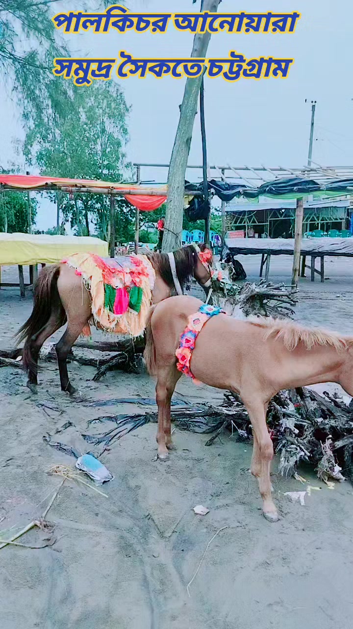 @ইকবাল হোসেন বিজয় ❤️🥰