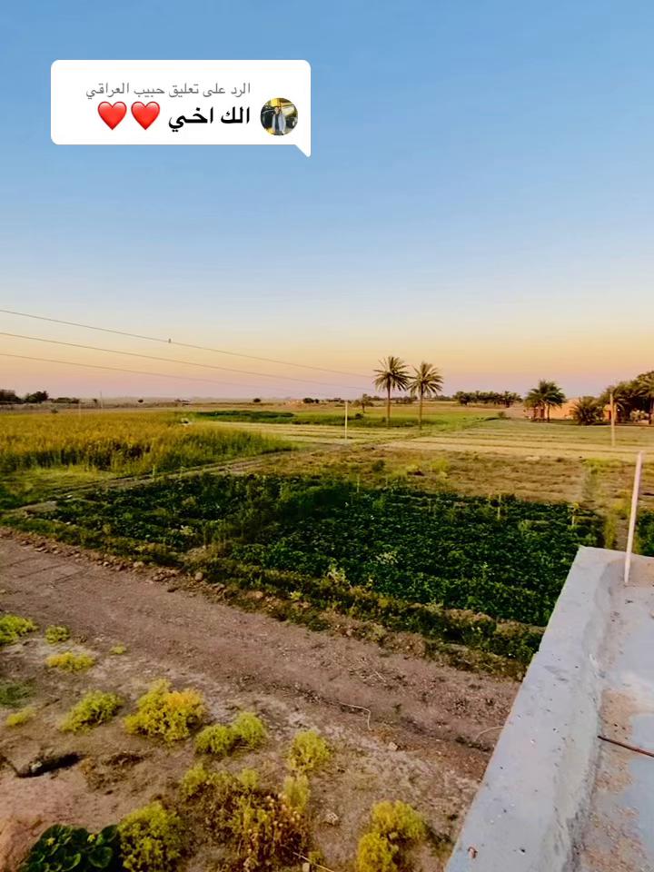 @﮼ذوالفقار ﮼حميد