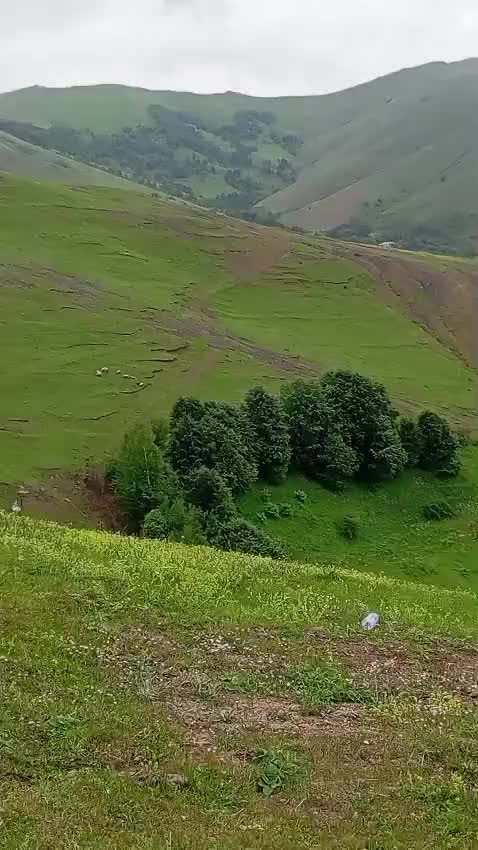 @МАСАЛЛЫ ХАКИМ РОССИЯ КАЗАНЬ