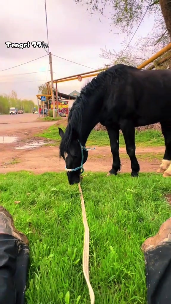 @Ринат Бейбитулы