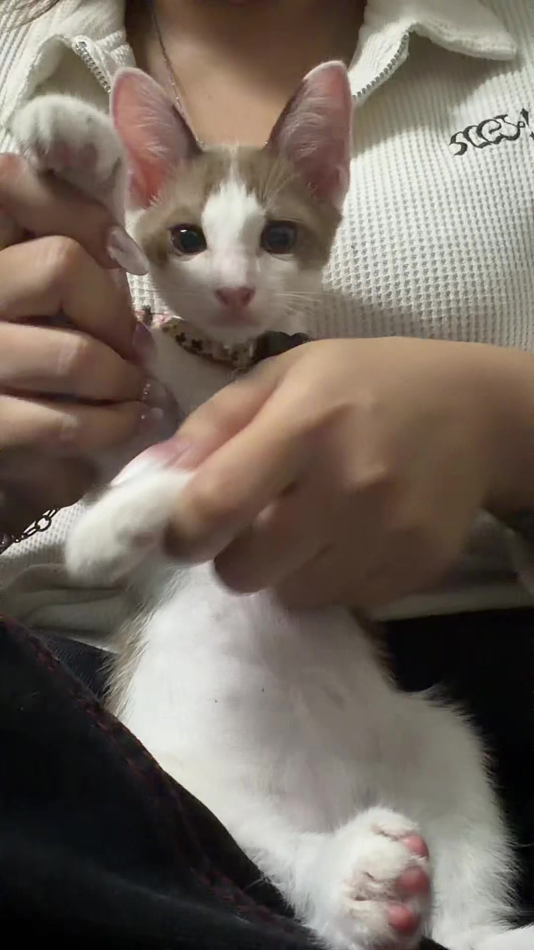 @𝙣𝙮𝙪𝙣𝙮𝙪 ⊹ഒ✧⋆