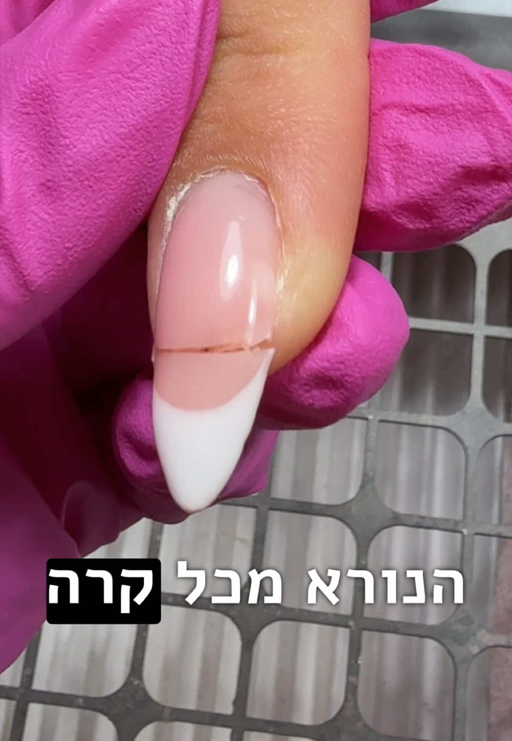 @Lital Sheli Cosmetics