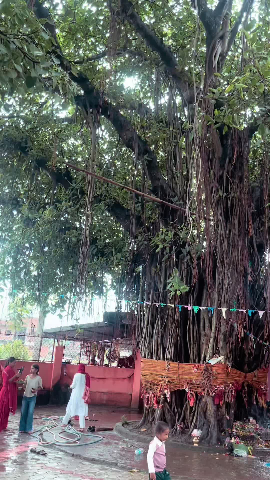 @Anjali Mahato🙏🇳🇵
