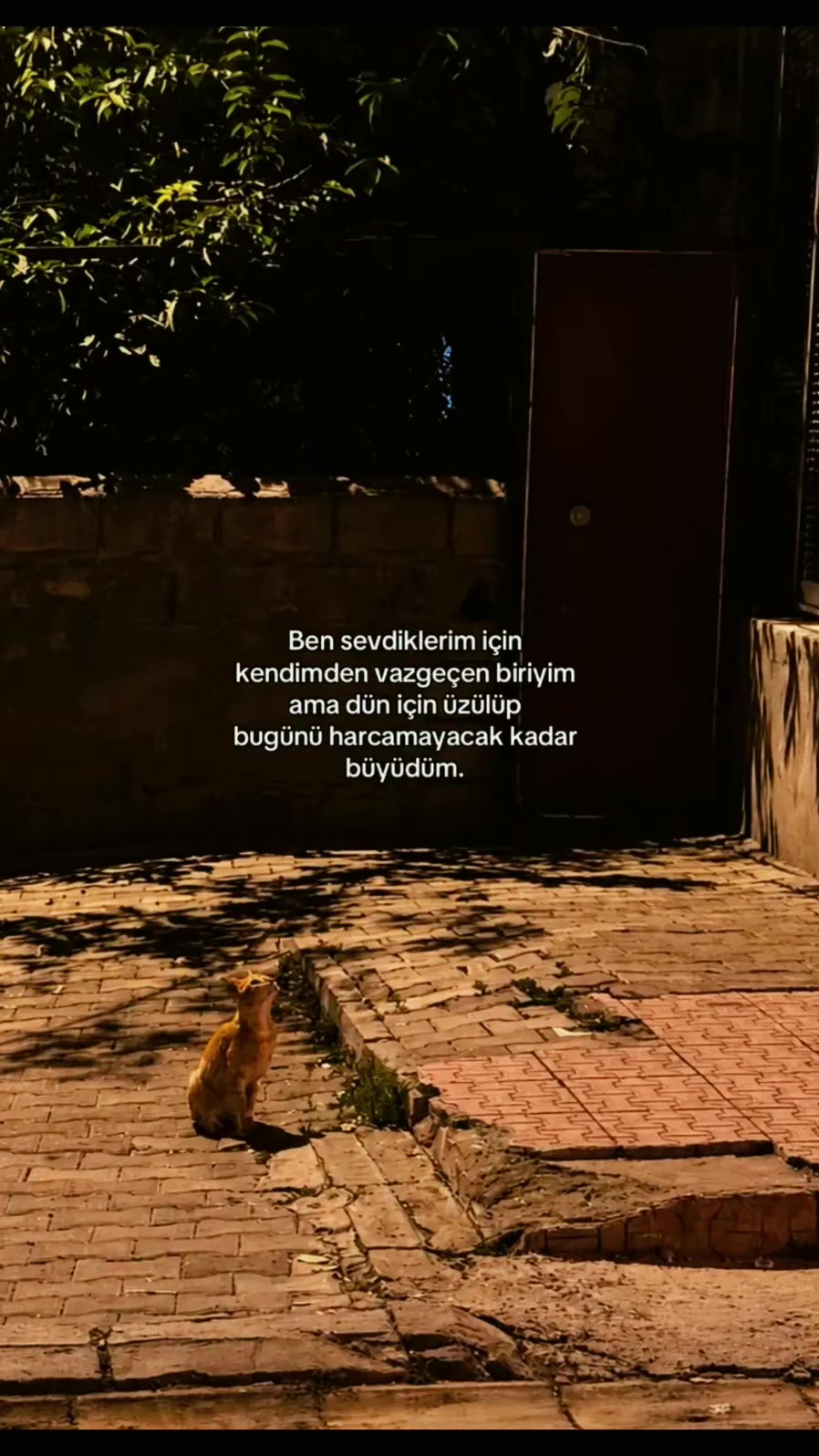 @Nur ceylan