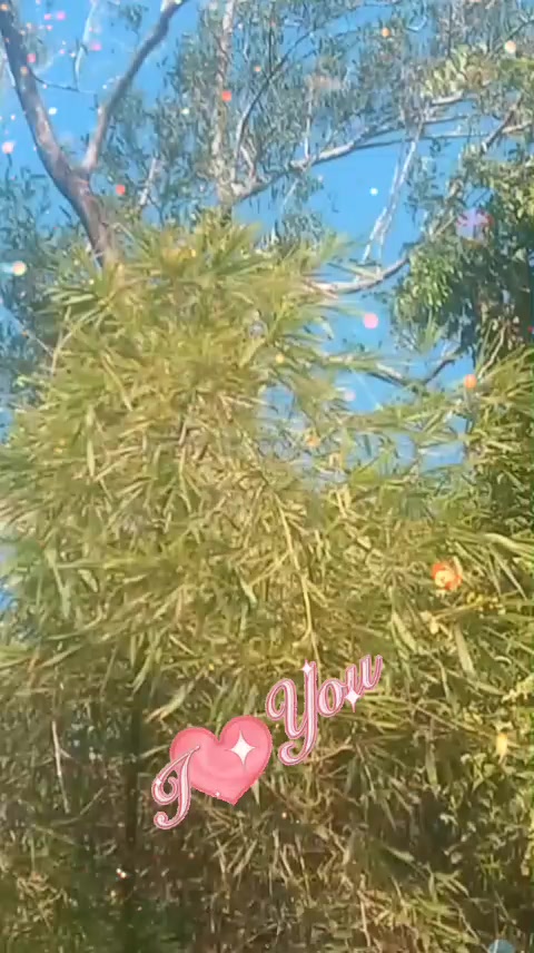 @bollywoodenergy1🫶❤️🌹❤️