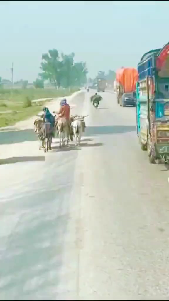 @Aijaz rajar 0786