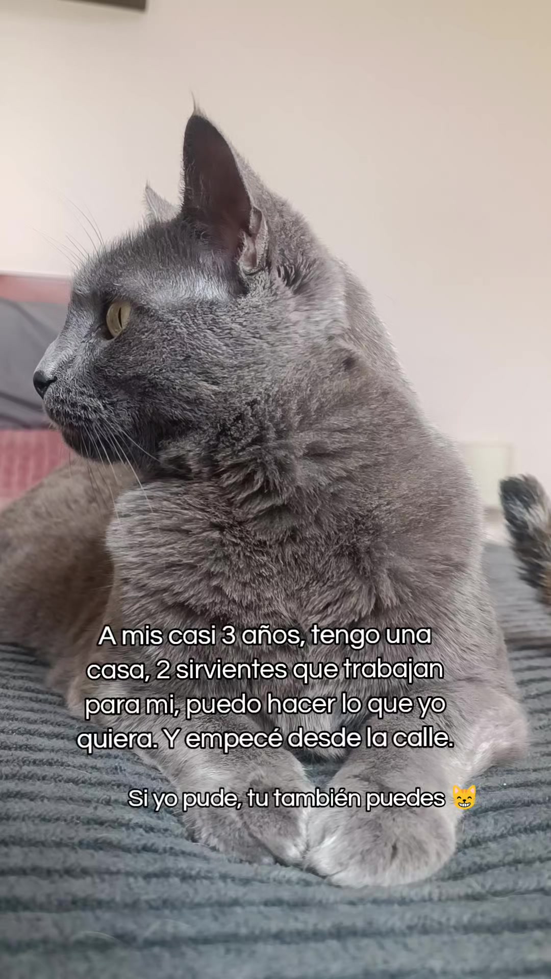 @Paulina Eguez Torres