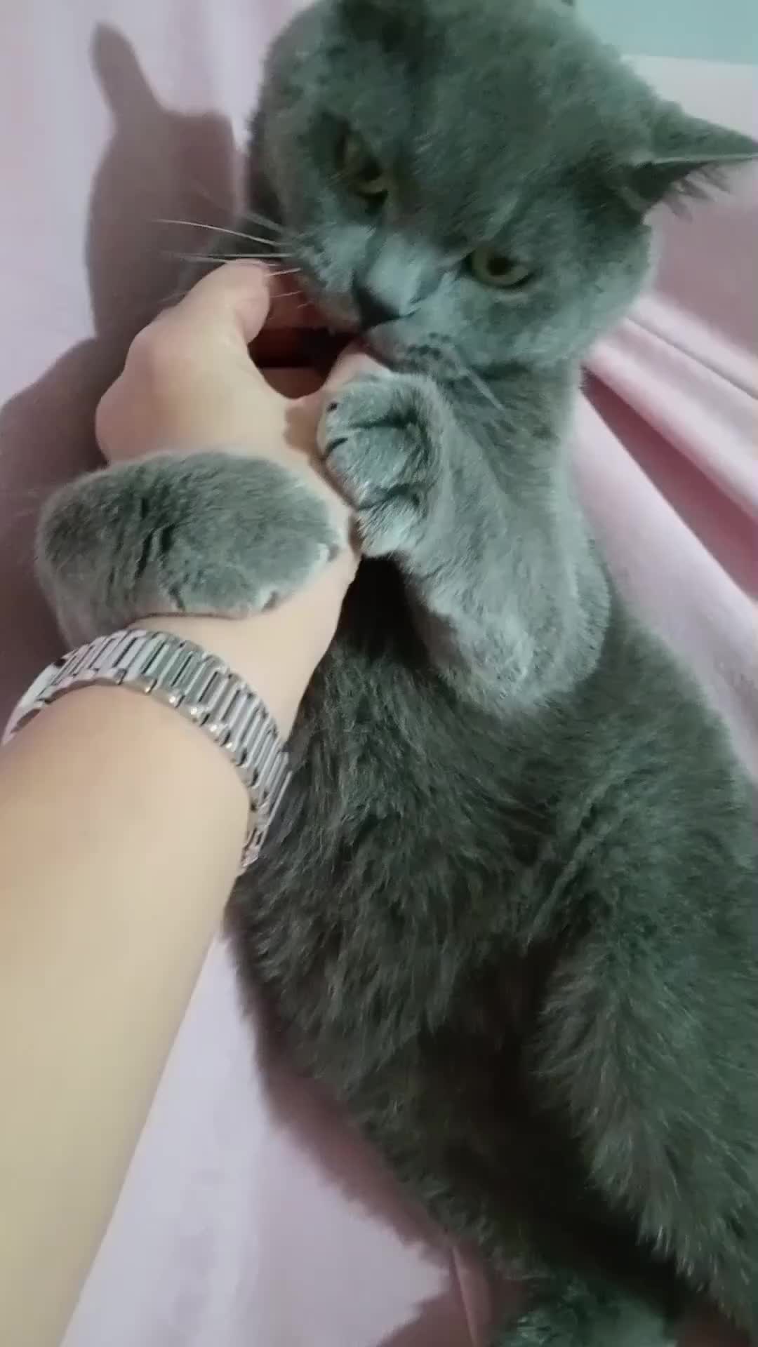 @Gülten Altunkaya