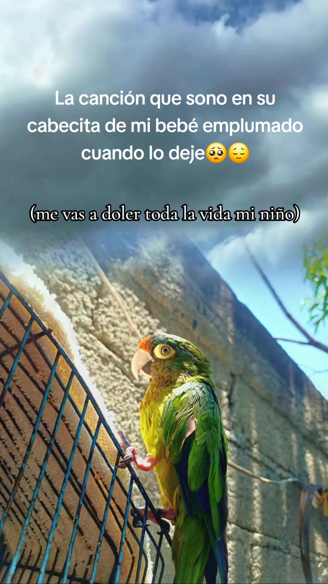 @Daniela
