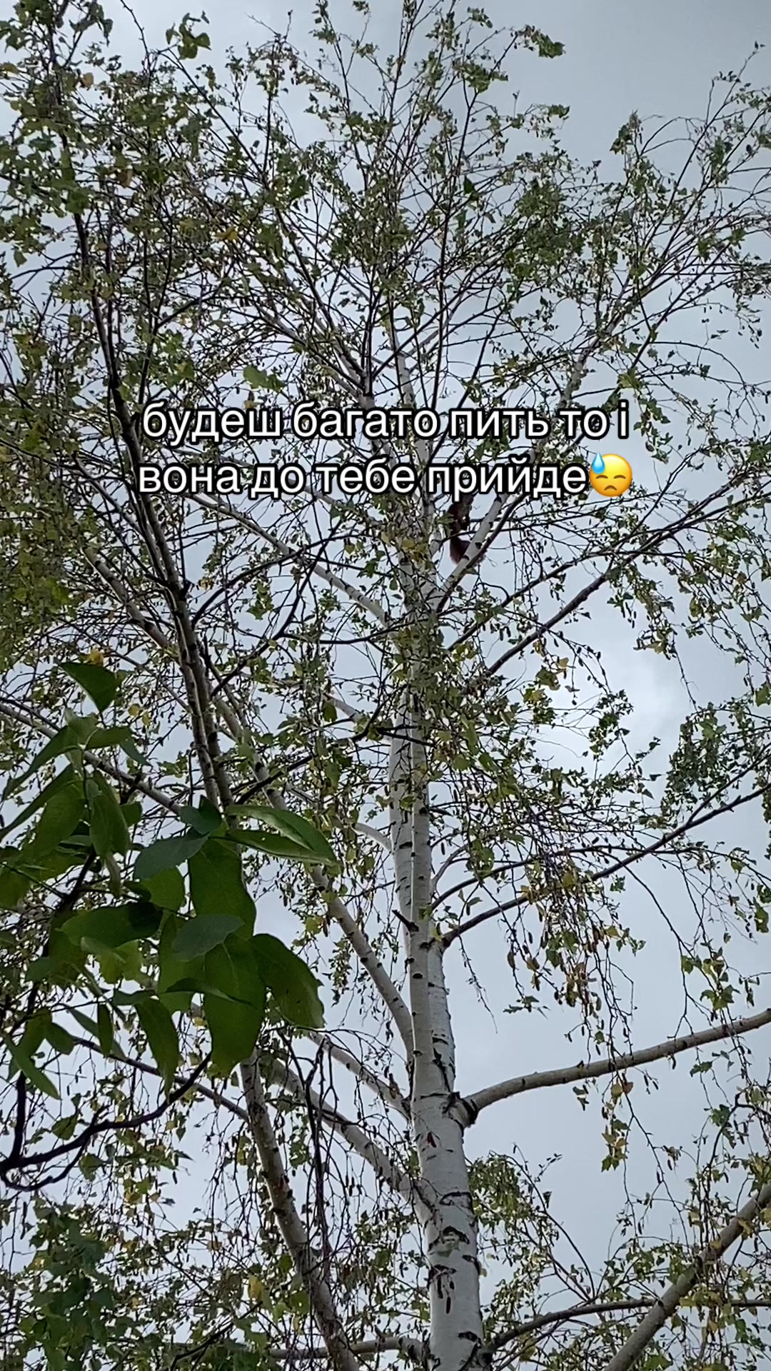 @𝐌 𝐀 𝐑 𝐂 𝐇 𝐔 𝐊 🎀