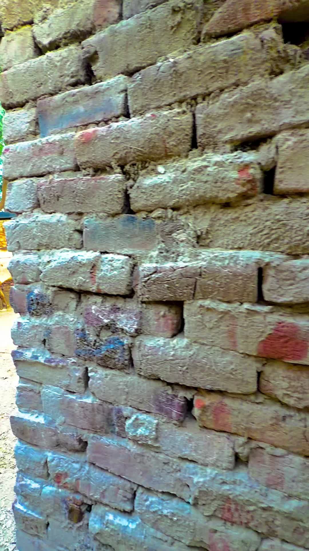 @💝 دانش میو 😎