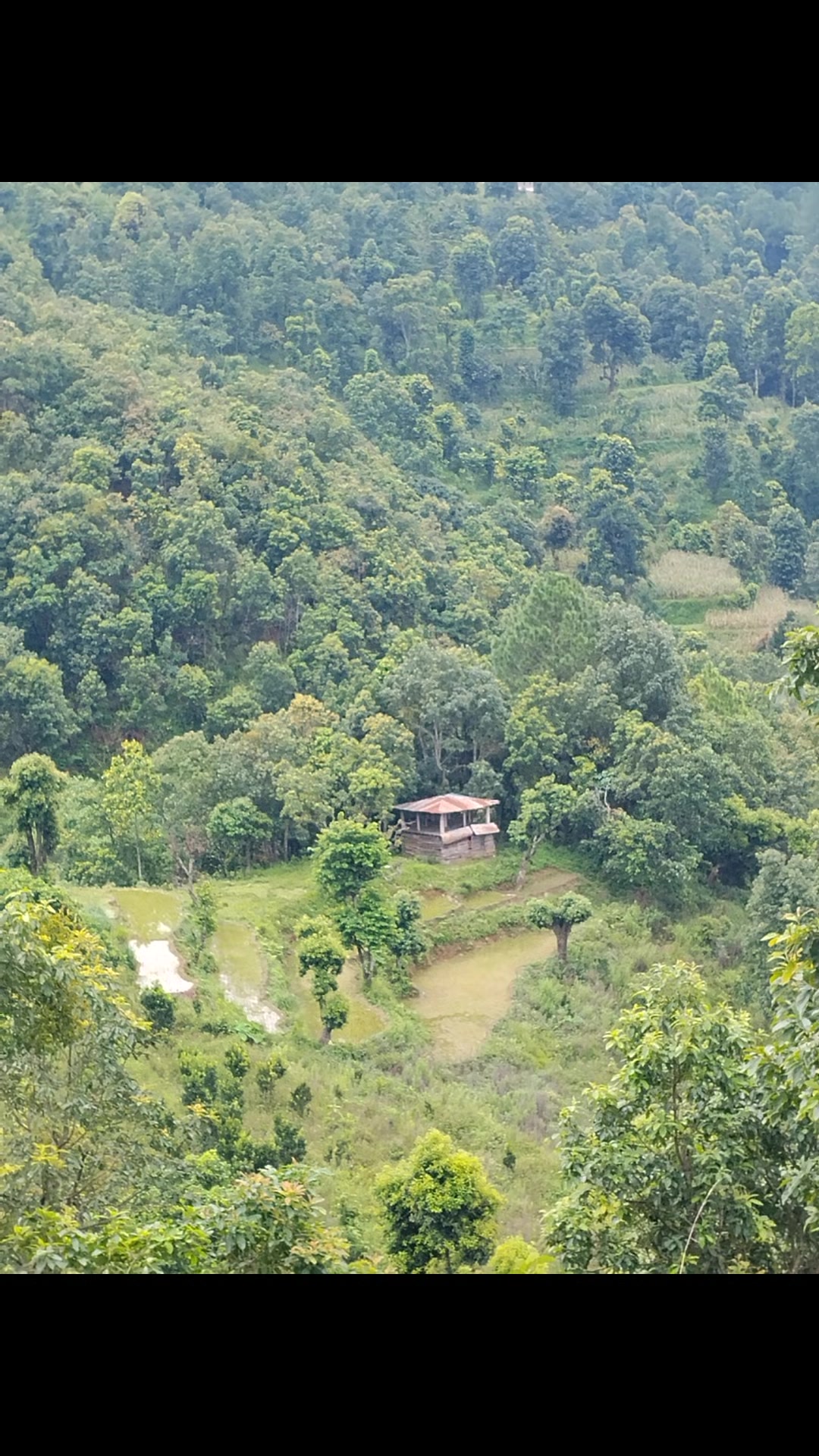 @उत्तम प्रताप जंग बहादुर राणा