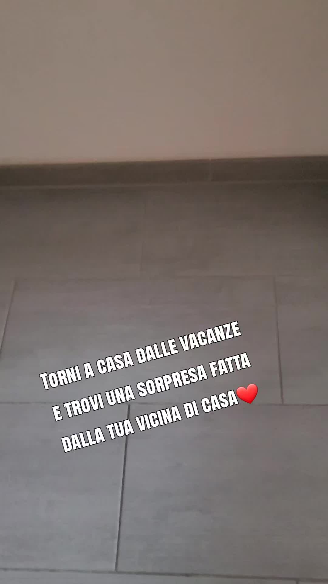 @Pazzaesaurita