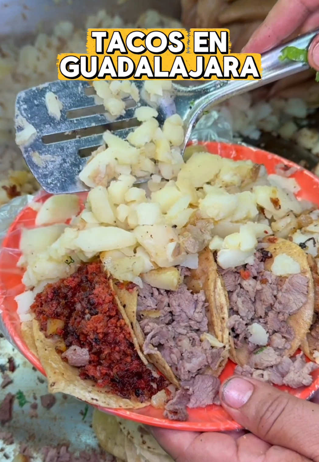 @provechito.gdl