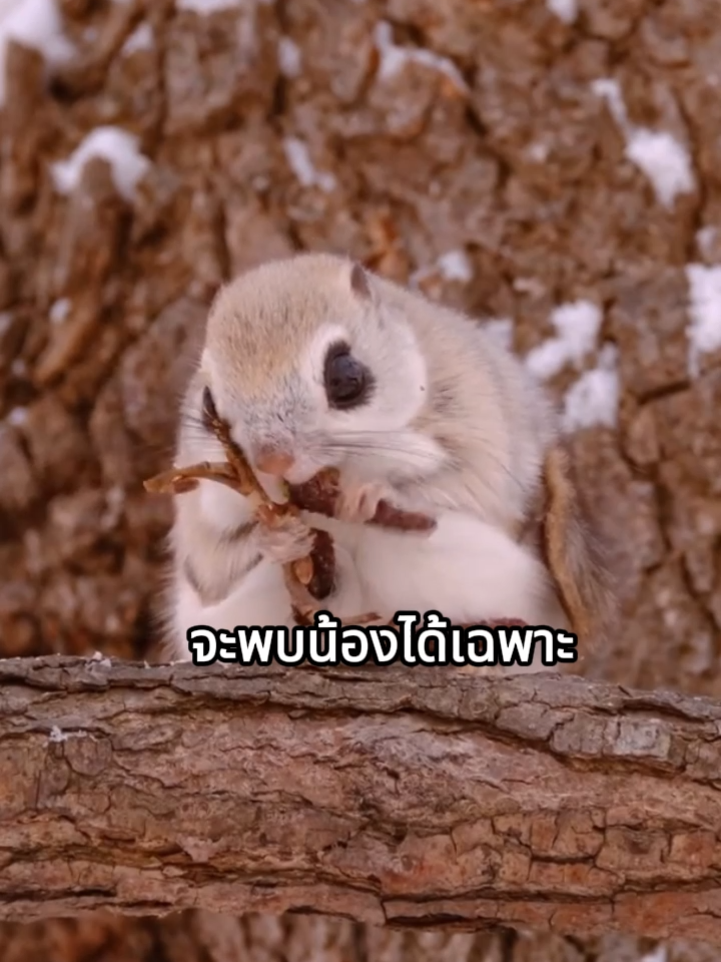 @9LOG