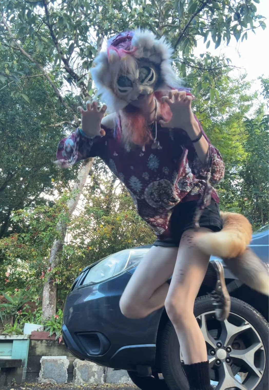 @☆🦇🄶𝐄𝐂𝐊𝐎🦇☆