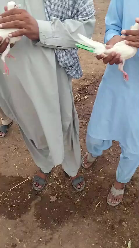 @mani Dogar 7/11