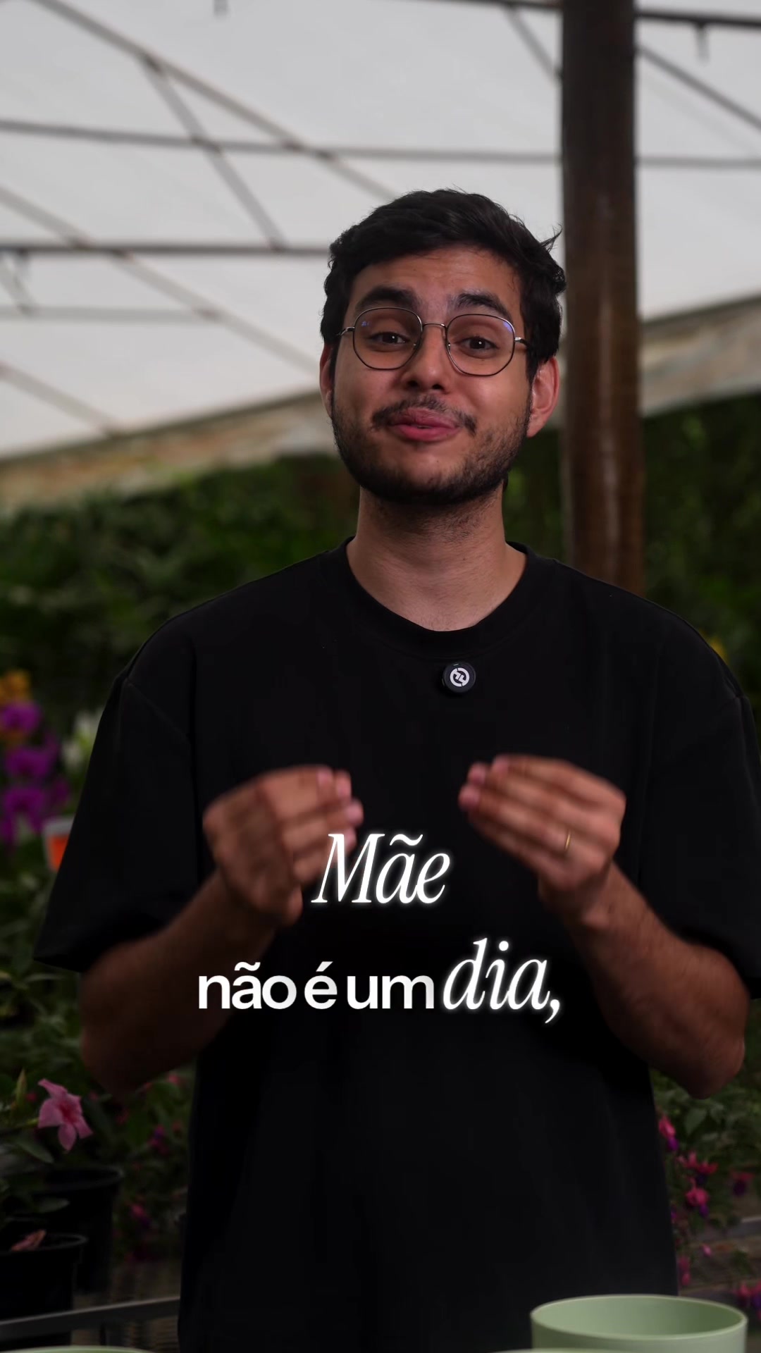 @ViveiroPauBrasil