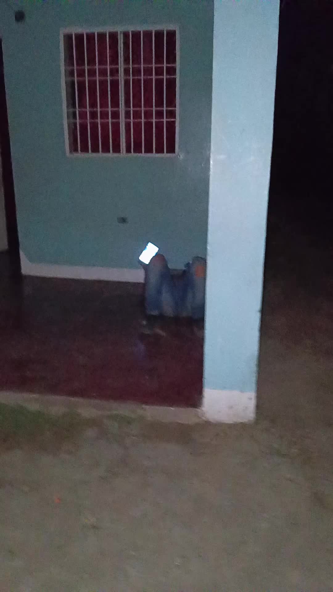 @elivillarreal