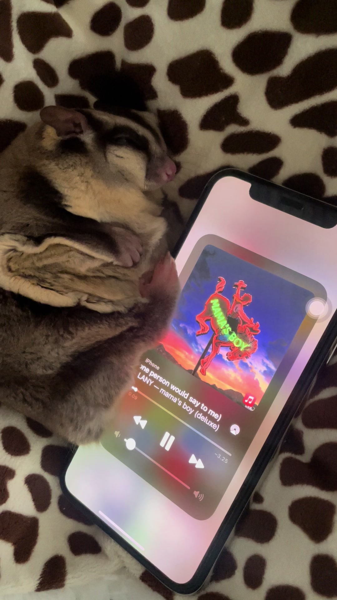 @Sadglider