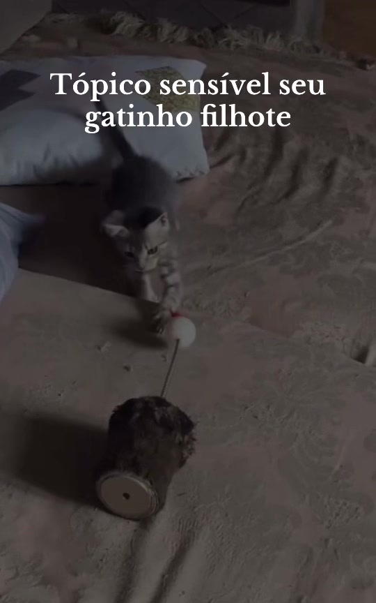 @𖠇ຼ𝓰𝓲𝓰𝓲𝓸𖠇ຼ.