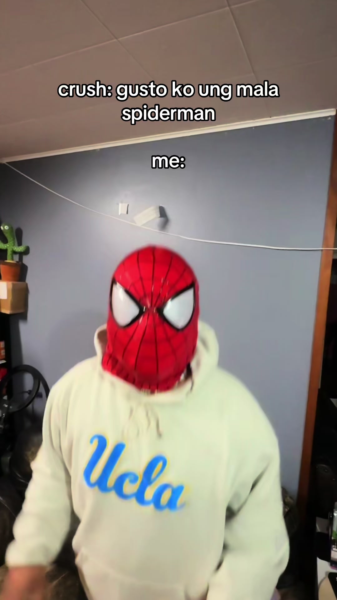 @reinstergonzy