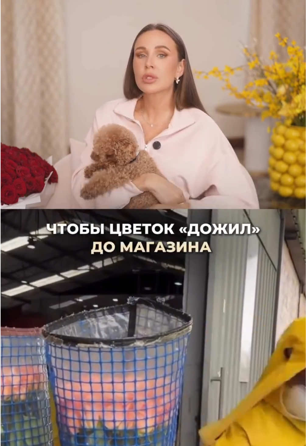 @doctor_zubareva