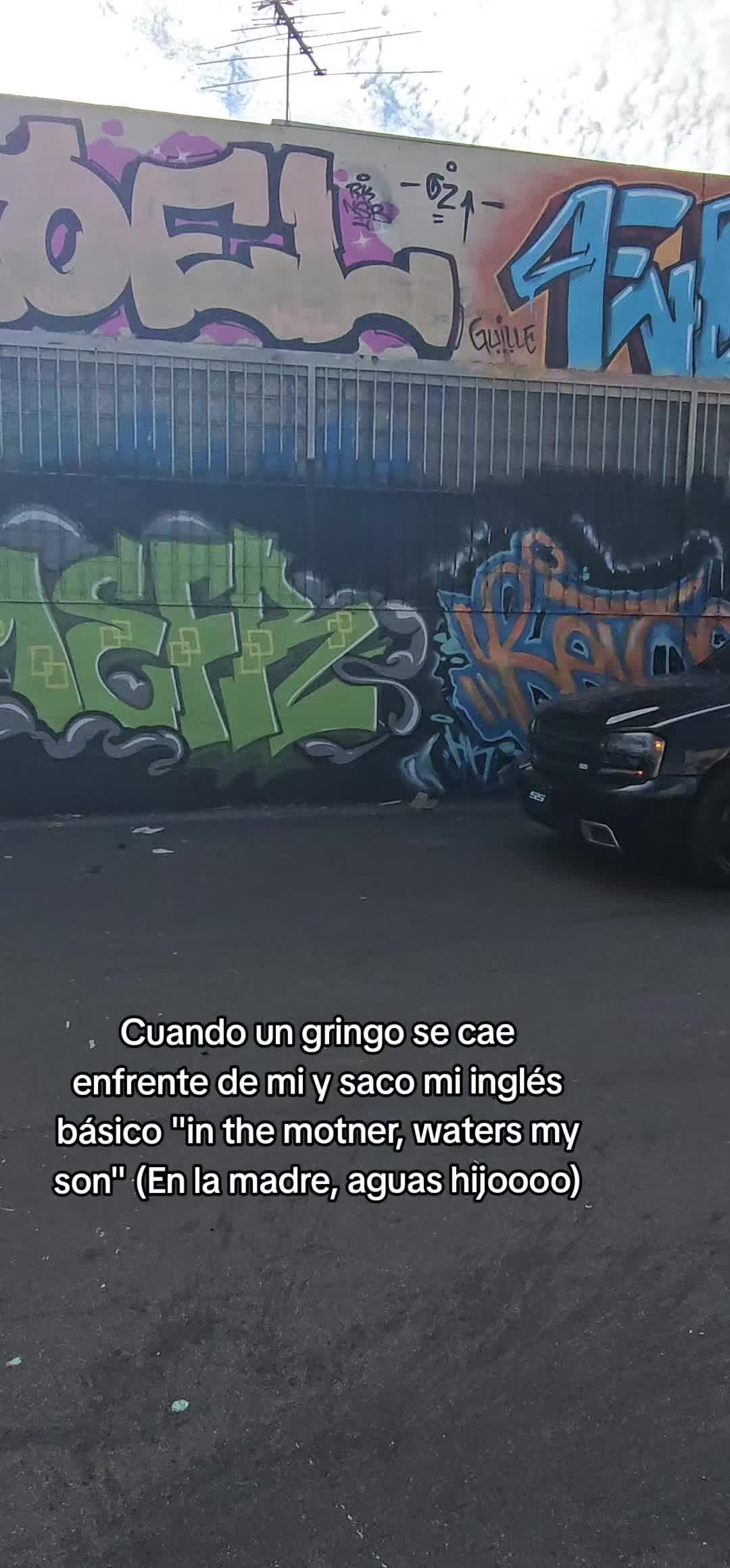 @tbss_isidro🦍