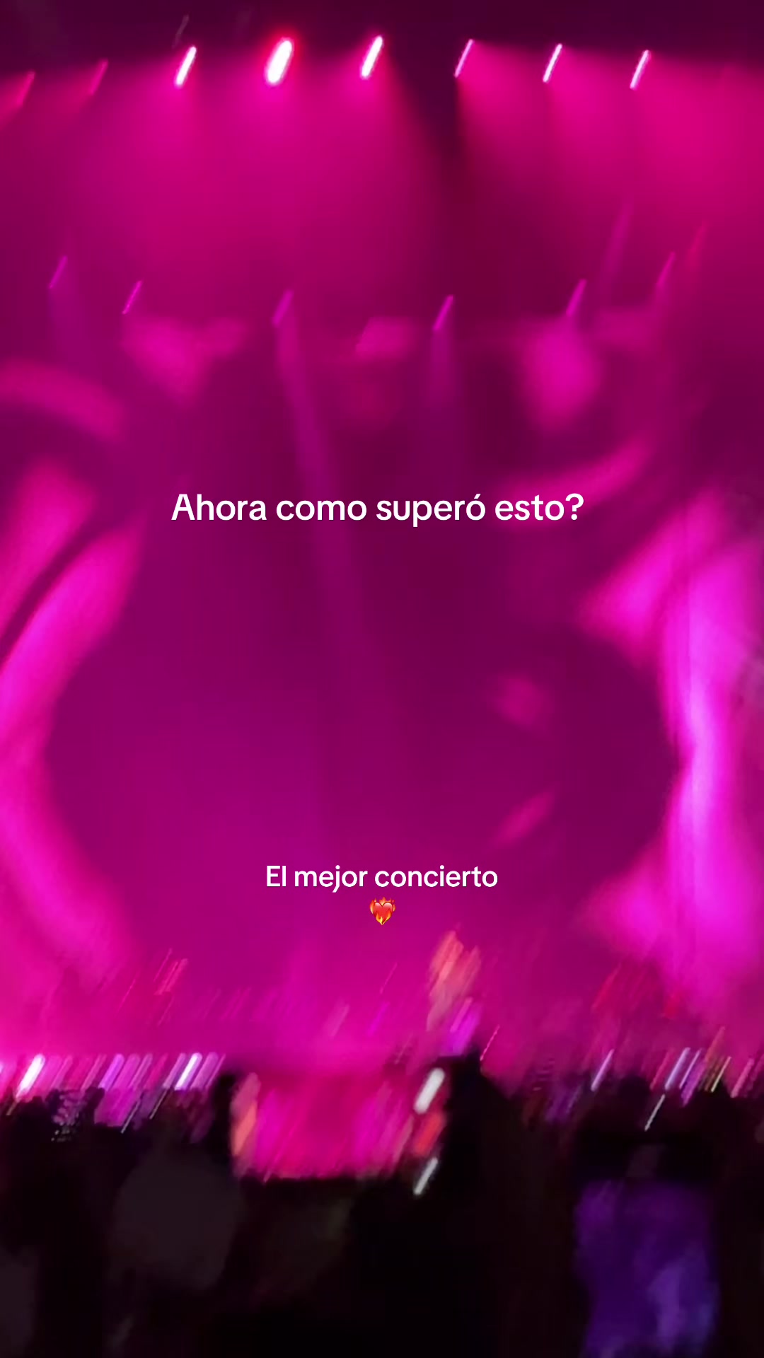 @paola_lizardi
