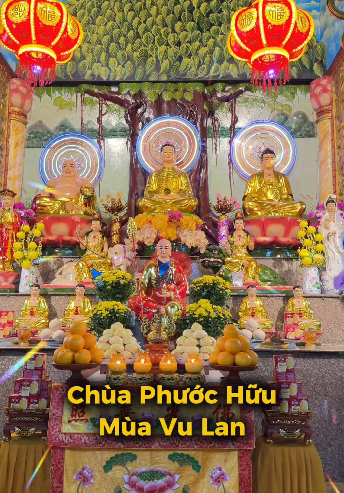 @Bé Rồng