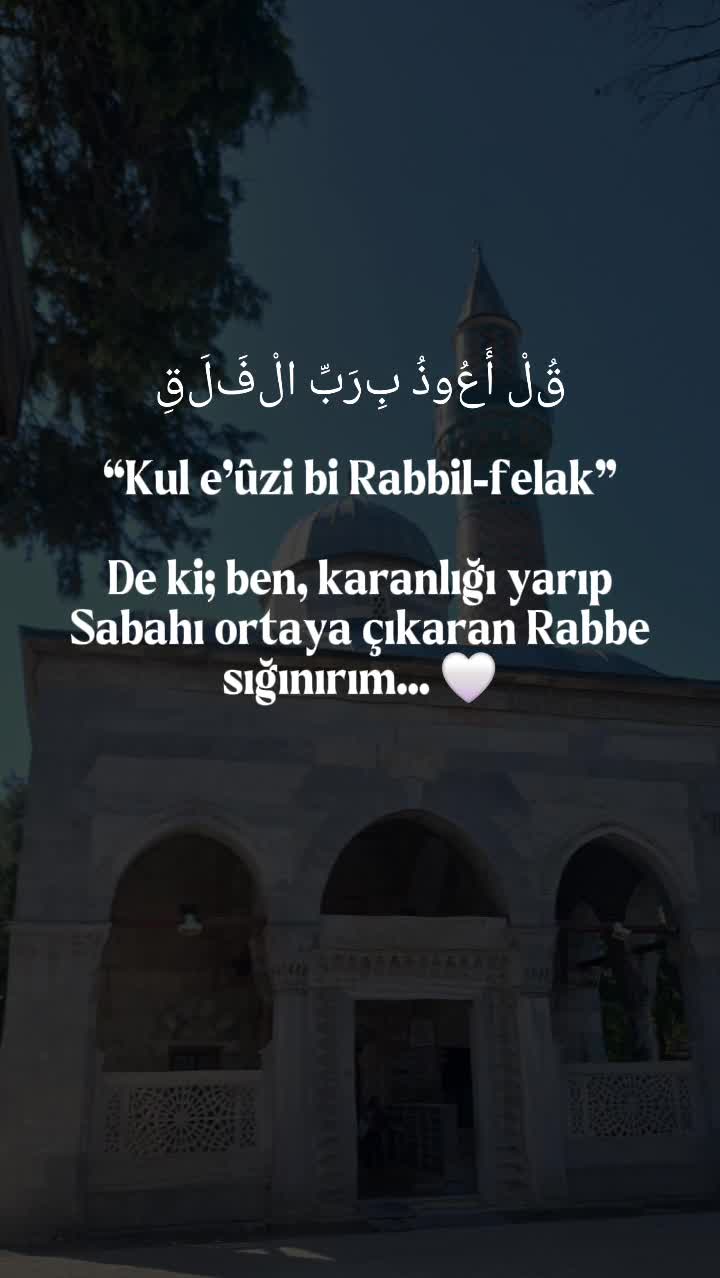 @Hanife Yakut