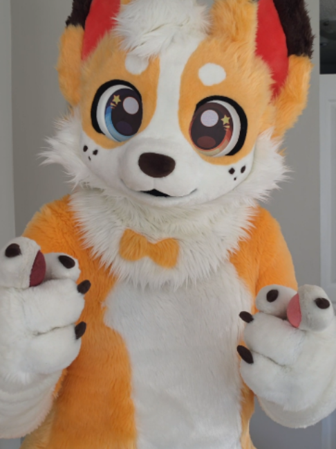 @Corgi
