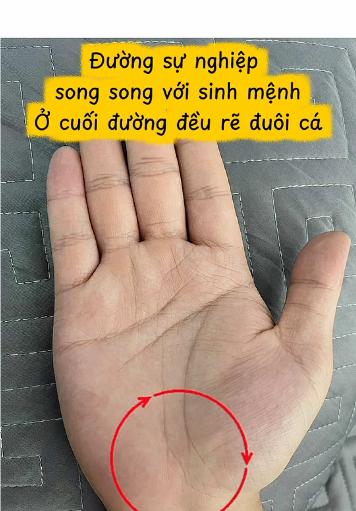 @VẬN MỆNH RADIO