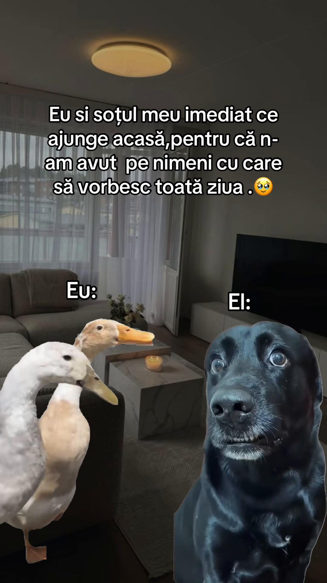@Teodora