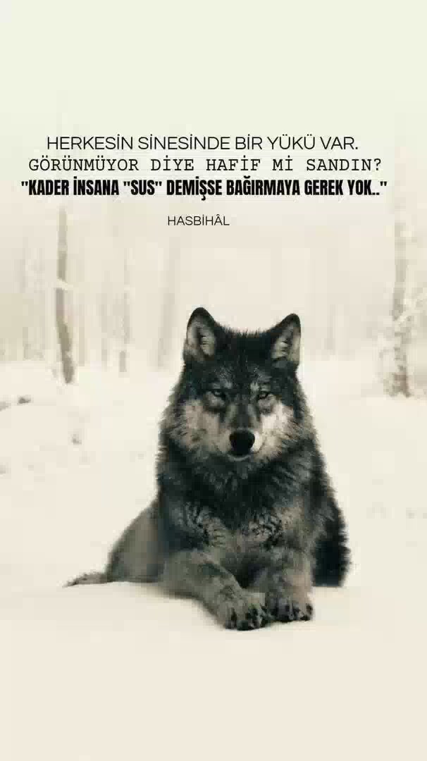 @Dergahkentli