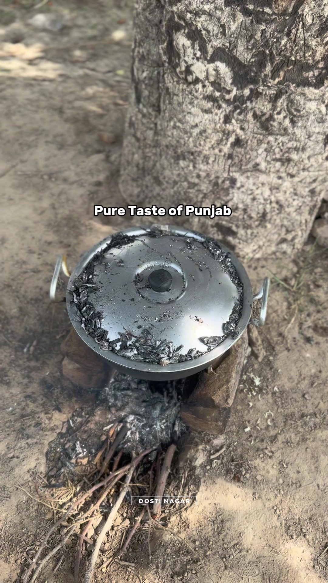 @دوستی نگر