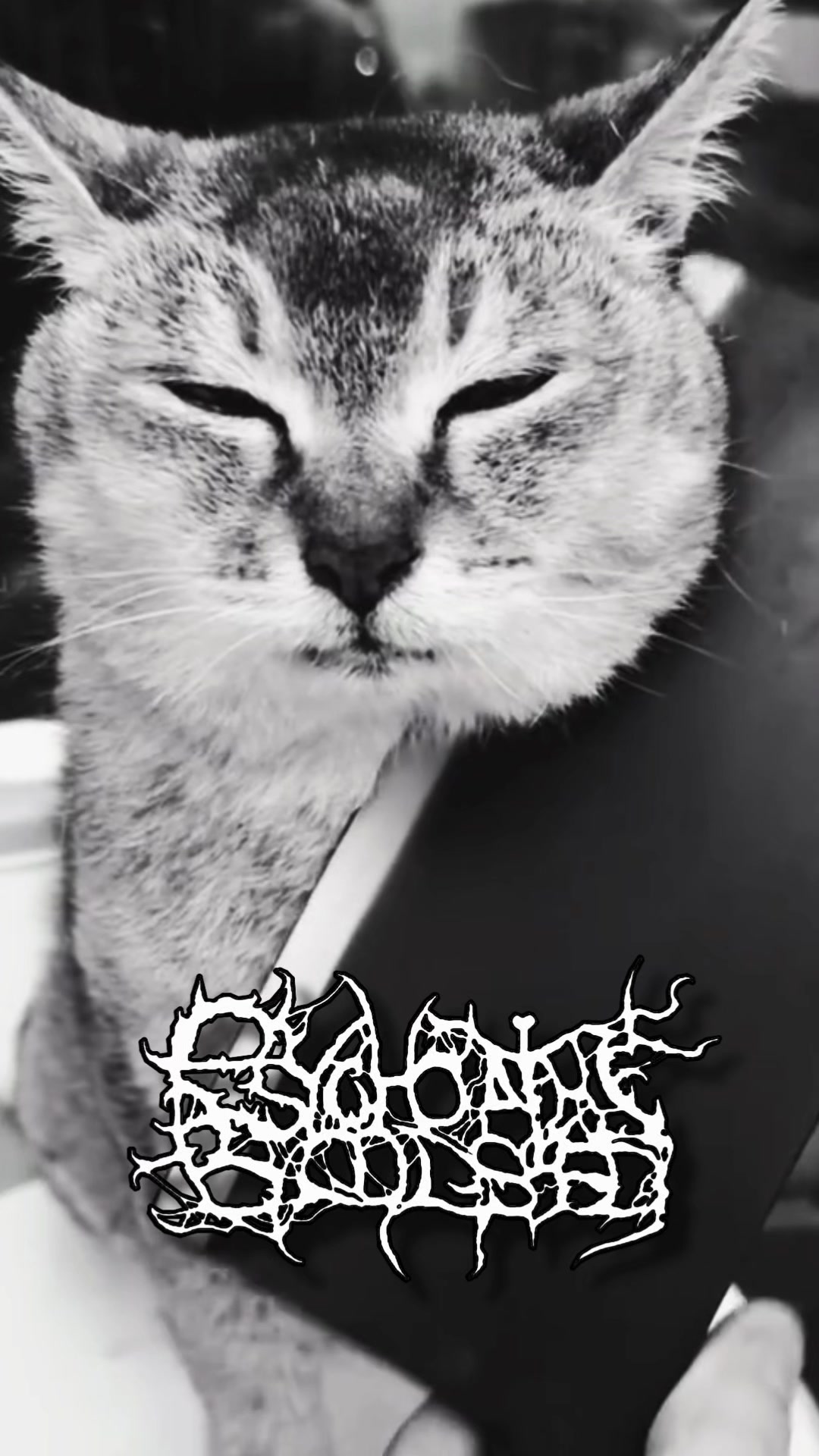 @Psychopaths Bloodshed