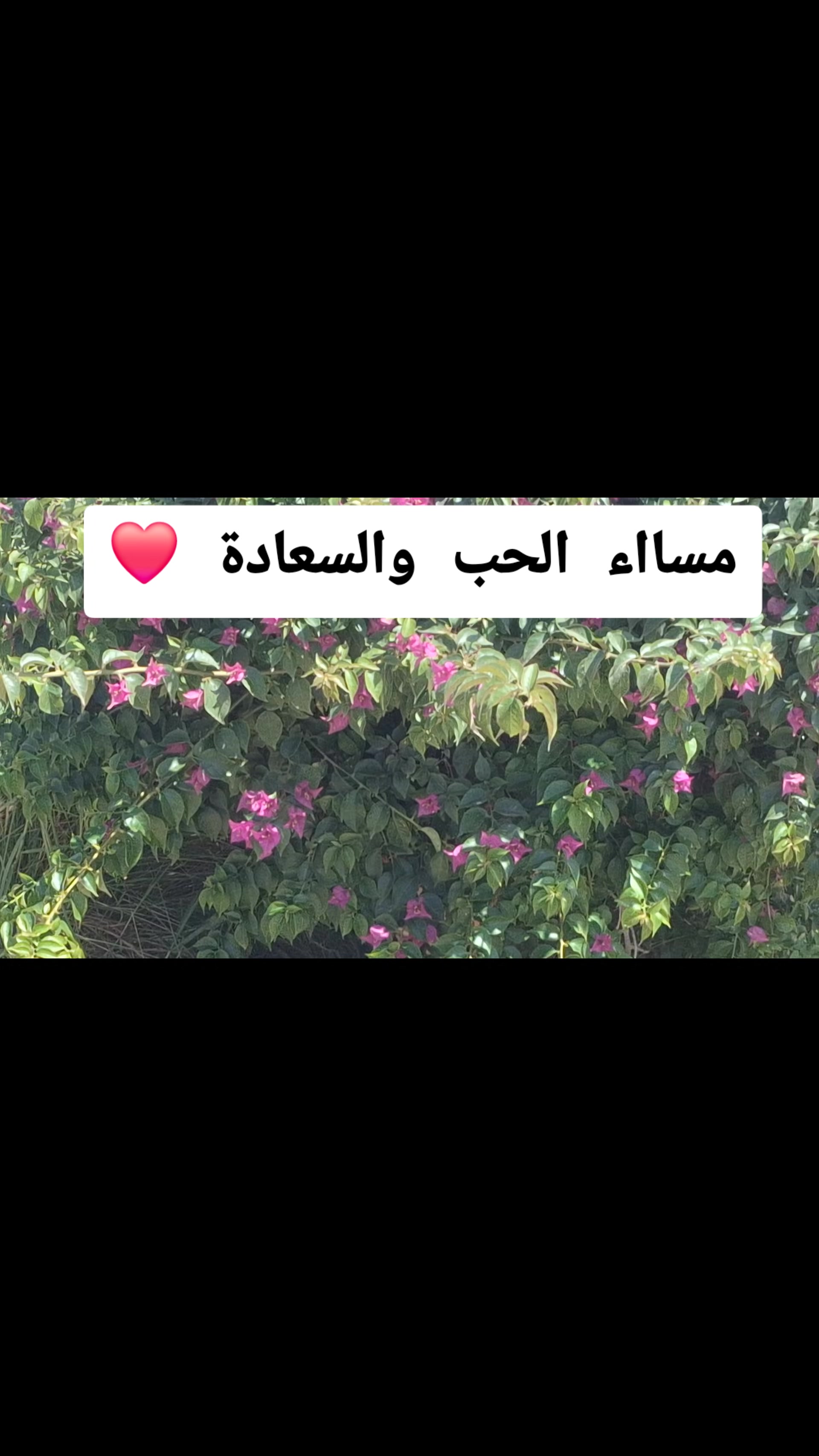 @soaad sosiyya
