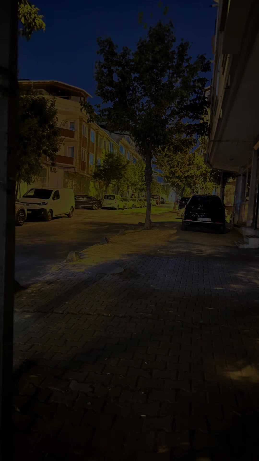 @TaNjUdUrMuŞ
